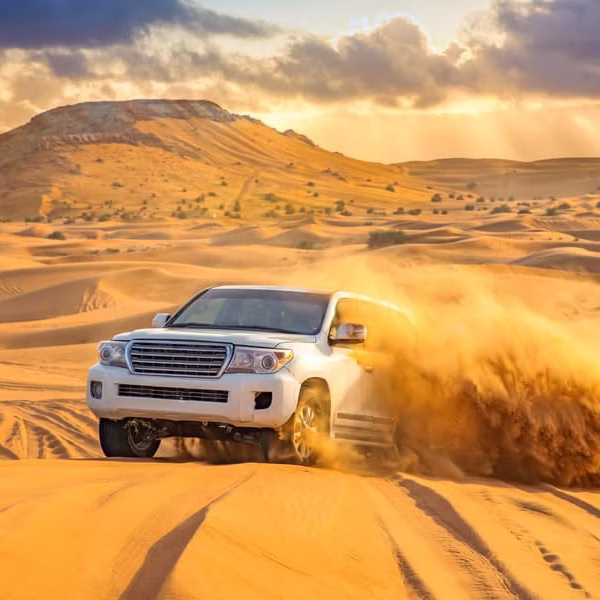 Desert Safari